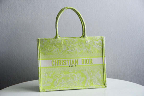 Dior Book Tote