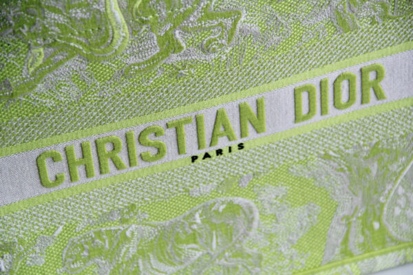 Dior Book Tote