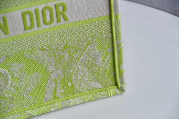 Dior Book Tote