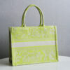 Dior Book Tote