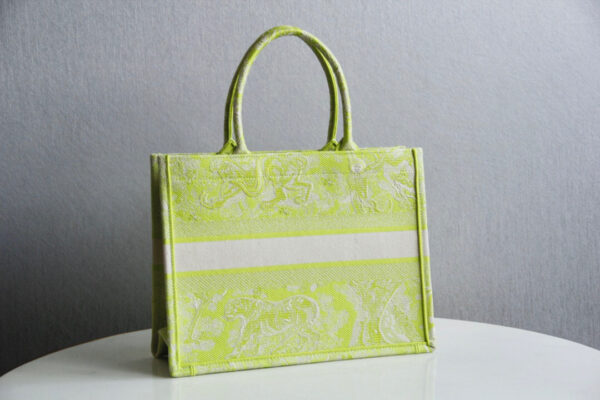 Dior Book Tote