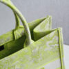 Dior Book Tote