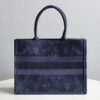 Dior Book Tote