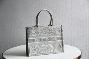 Dior Book Tote