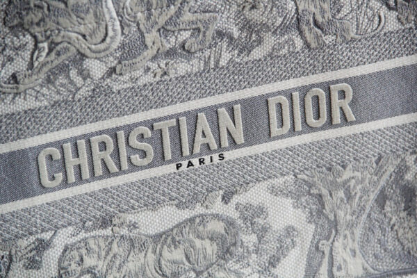Dior Book Tote