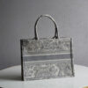 Dior Book Tote