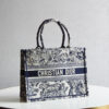 Dior Book Tote