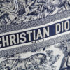 Dior Book Tote