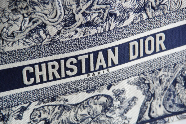 Dior Book Tote