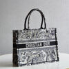 Dior Book Tote