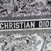 Dior Book Tote