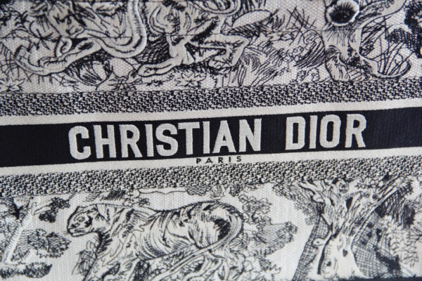 Dior Book Tote