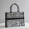 Dior Book Tote