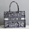 Dior Book Tote