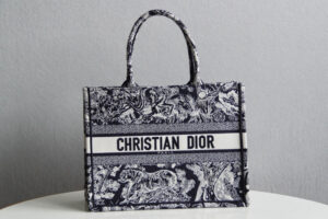 Dior Book Tote