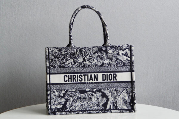 Dior Book Tote