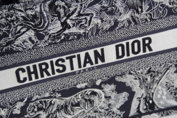 Dior Book Tote