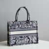 Dior Book Tote