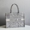 Dior Book Tote
