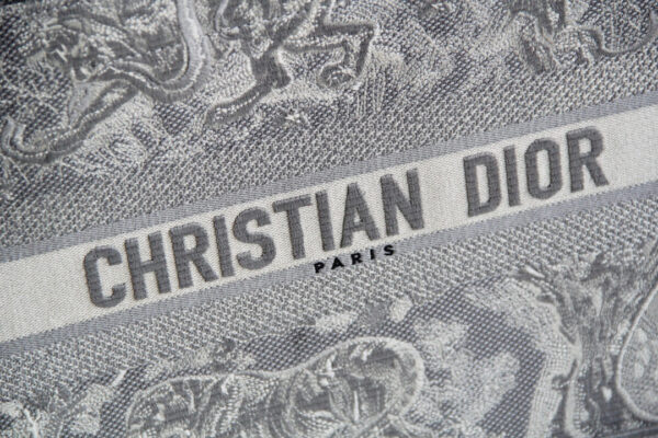 Dior Book Tote