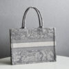 Dior Book Tote