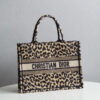 Dior Book Tote