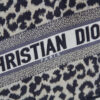 Dior Book Tote