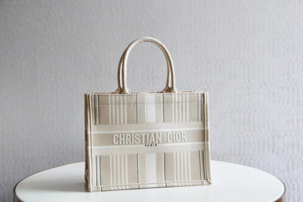 Dior Book Tote
