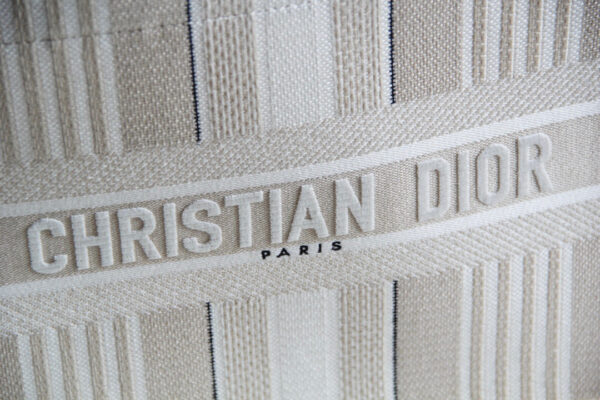 Dior Book Tote