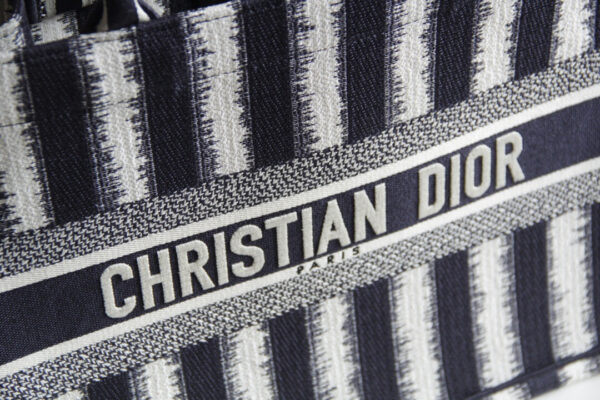 Dior Book Tote