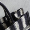 Dior Book Tote