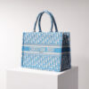 Dior Book Tote