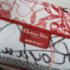 Dior Book Tote
