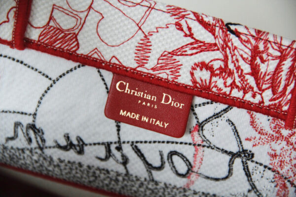 Dior Book Tote
