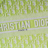 Dior Book Tote