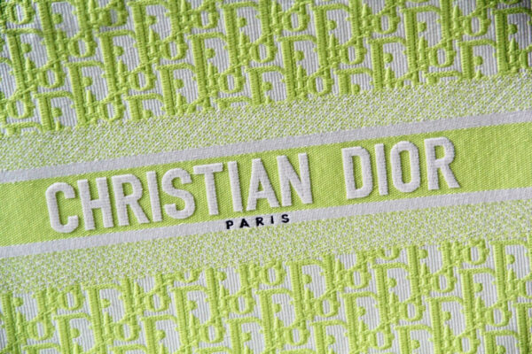 Dior Book Tote