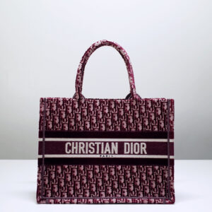 Dior Book Tote