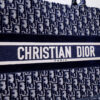 Dior Book Tote