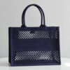 Dior Book Tote