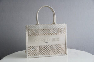 Dior Book Tote