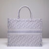 Dior Book Tote