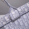 Dior Book Tote