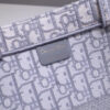 Dior Book Tote
