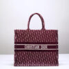 Dior Book Tote