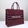 Dior Book Tote