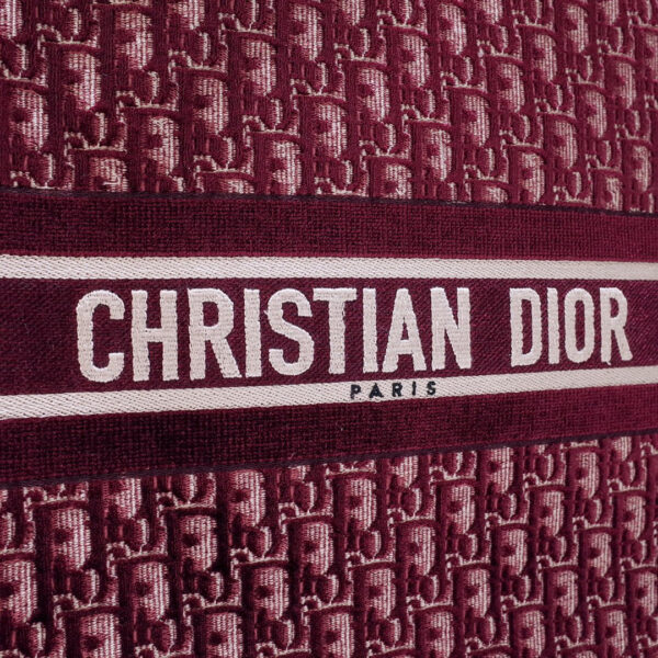 Dior Book Tote