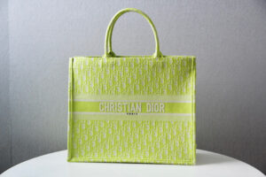 Dior Book Tote