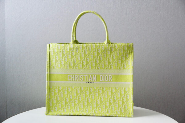 Dior Book Tote