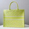 Dior Book Tote