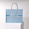Dior Book Tote